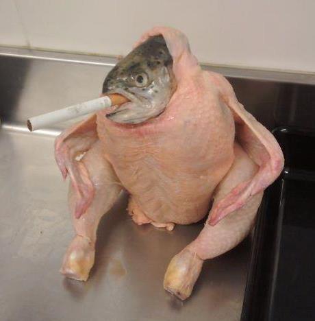 Fish Chicken Smoking a Cigarette